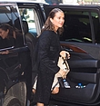 Filename=103.jpg
Filesize=105KiB
Dimensions=408x612
Date added=Mar 14, 2018 103.jpg