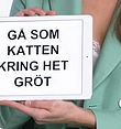 Filename=0238.jpg
Filesize=309KiB
Dimensions=1920x1080
Date added=Mar 15, 2018 0238.jpg