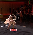 Filename=1074.jpg
Filesize=446KiB
Dimensions=1920x1080
Date added=Mar 16, 2018 1074.jpg