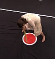 Filename=1096.jpg
Filesize=276KiB
Dimensions=1920x1080
Date added=Mar 16, 2018 1096.jpg