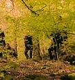 Filename=0013.jpg
Filesize=443KiB
Dimensions=958x544
Date added=Mar 06, 2018 0013.jpg