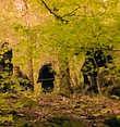 Filename=0014.jpg
Filesize=445KiB
Dimensions=958x544
Date added=Mar 06, 2018 0014.jpg