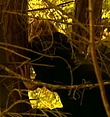 Filename=0046.jpg
Filesize=318KiB
Dimensions=958x544
Date added=Mar 06, 2018 0046.jpg