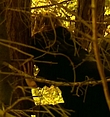 Filename=0048.jpg
Filesize=320KiB
Dimensions=958x544
Date added=Mar 06, 2018 0048.jpg